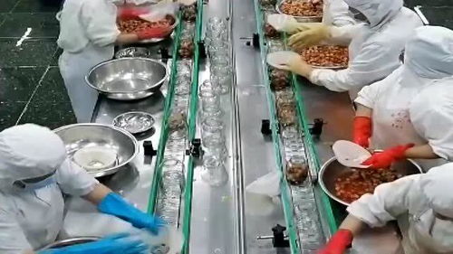 罐頭水果 健康與否，解碼食品廠的“魔法”加工過程