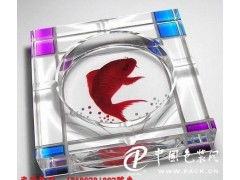 玻璃壁畫數碼印花設備的革新與應用 從平板打印機到4D寫真機